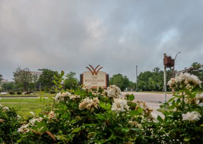 The Woodlands Mall Is a Suburban Time Capsule