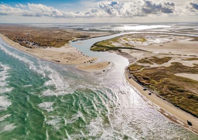 The Great Texas Beach-Off