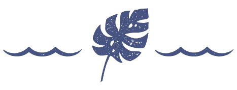SVG Image