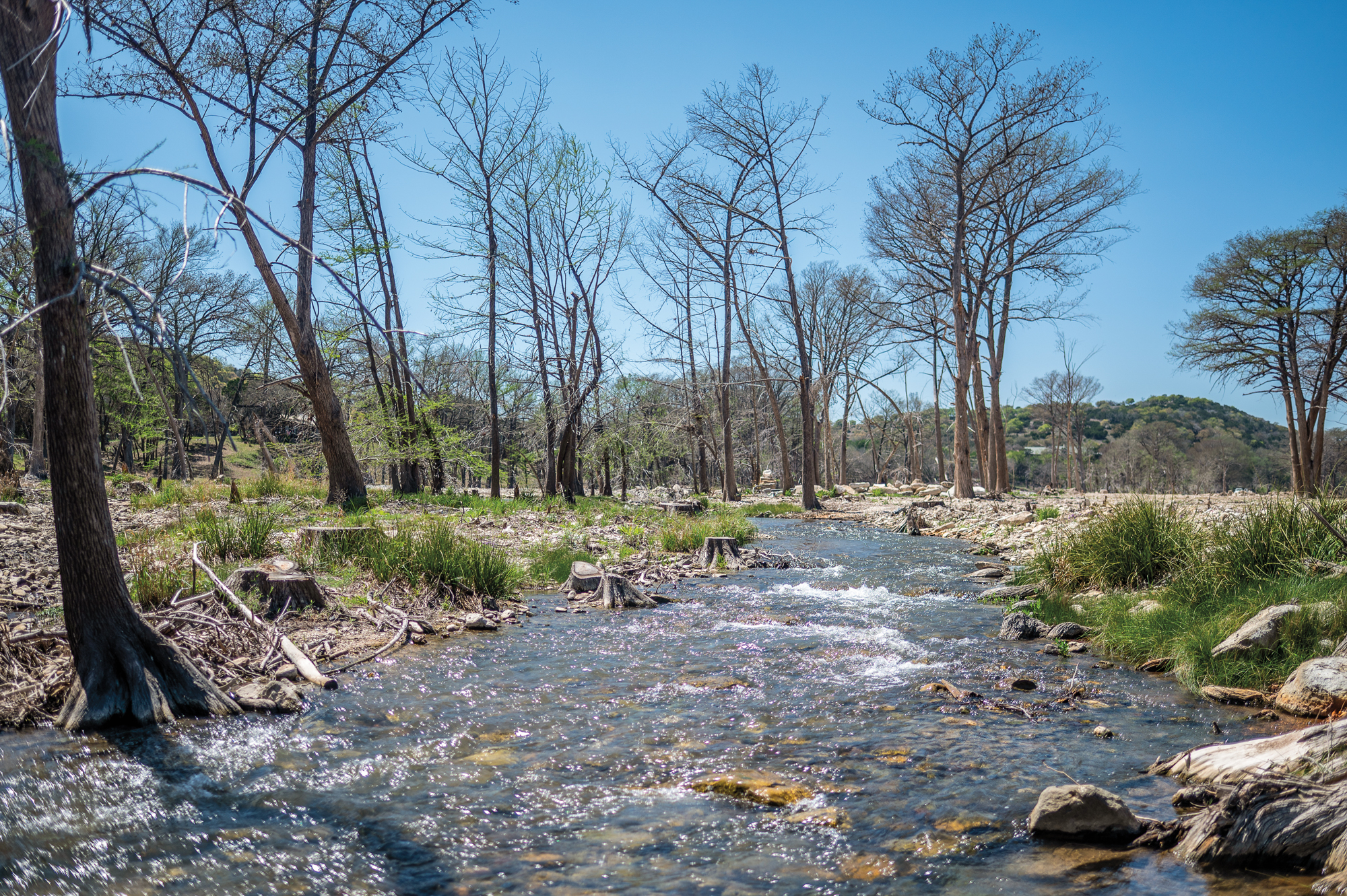 Returning to the Guadalupe River a Year After the Floods