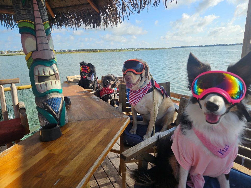 Four dogs, three wearing goggles, seated at an outdoor tiki bar