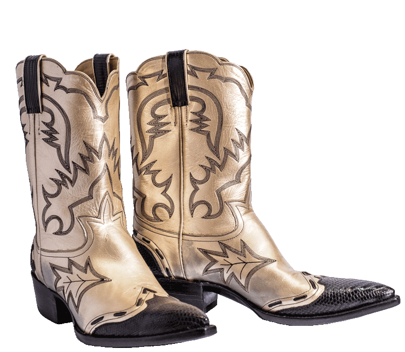 A pair of gold and black cowboy boots