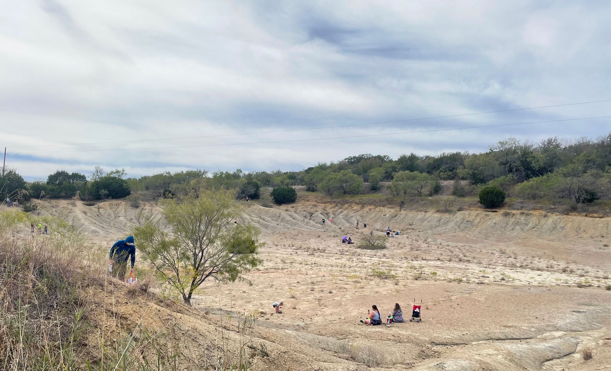 Roughly ten people, most sitting or crouched searching for fossils, are spread throughout a dirt pit that is surrounded by grass and trees.