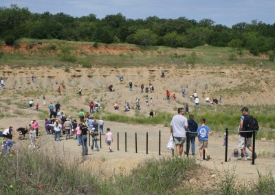 Take Home a Prehistoric Souvenir from Mineral Wells Fossil Park