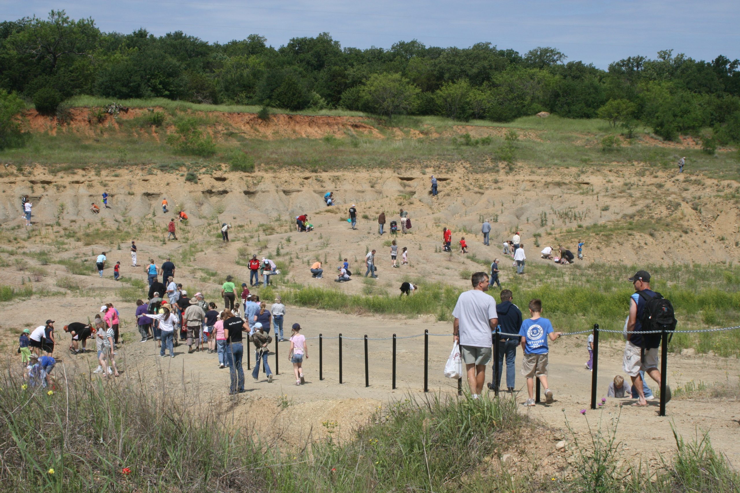 A large dirt and gravel pit surrounded by grass and trees with adults and children in the pit searching for fossils.