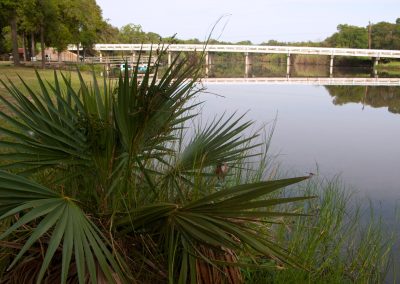 Palmetto State Park in the Summer Is a Runner’s Delight