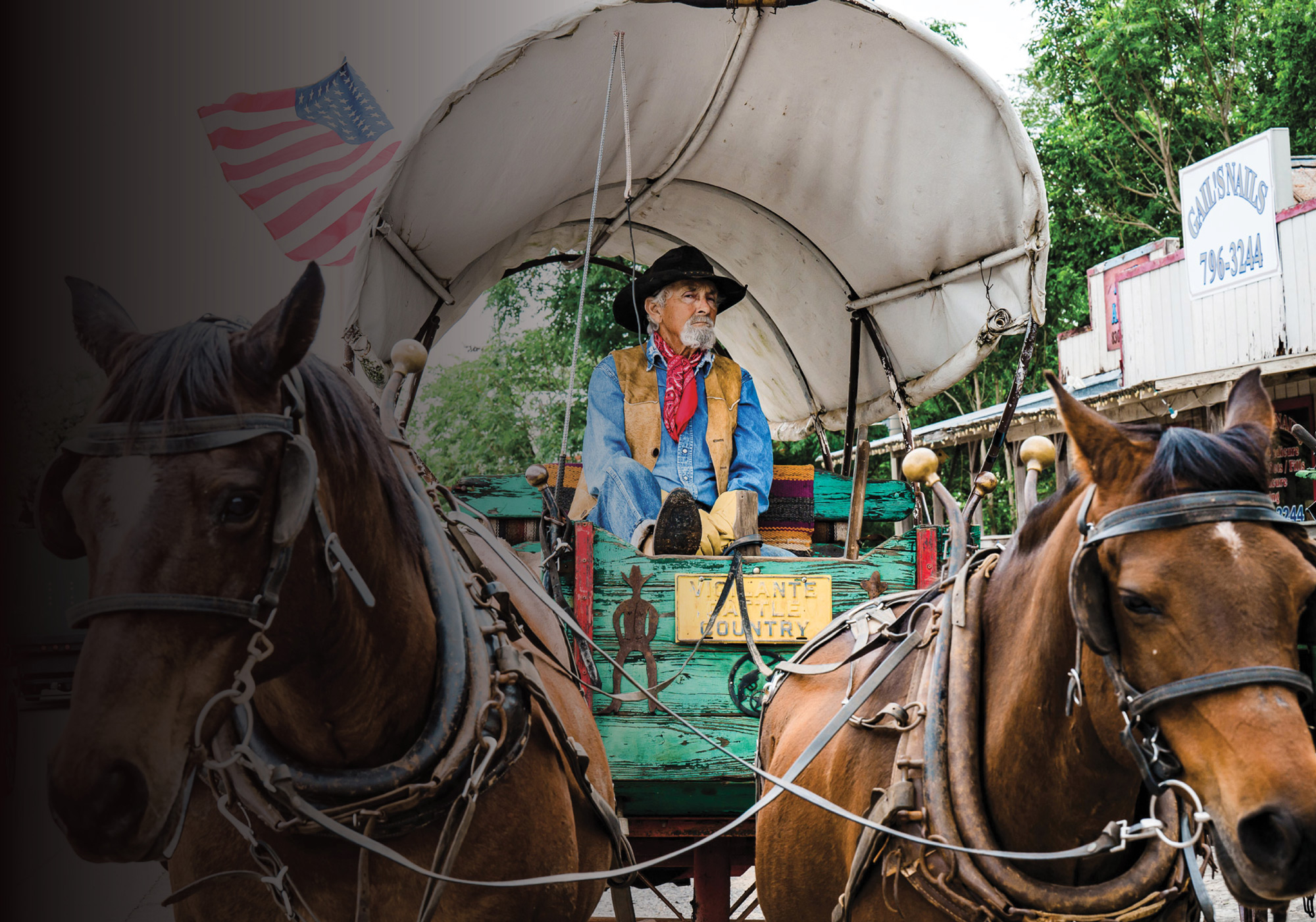 An old man wearing a red bandana, black cowboy hat, denim shirt and brown vest sits in a covered wagon pulled by two brown horses.