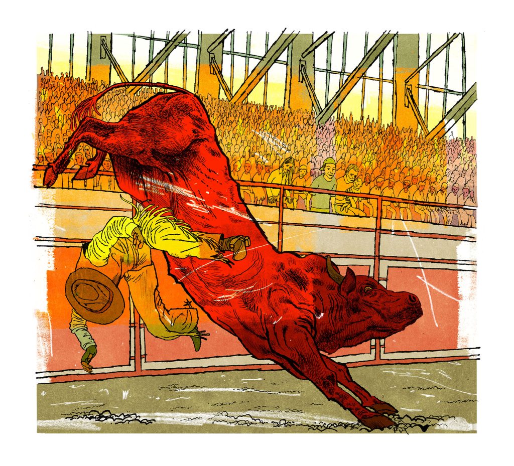 An illustration using warm colors, namely oranges and reds with some mossy green, depicting a stadium scene of a bull knocking over a man in western wear. A large crowd sits in the stands behind.