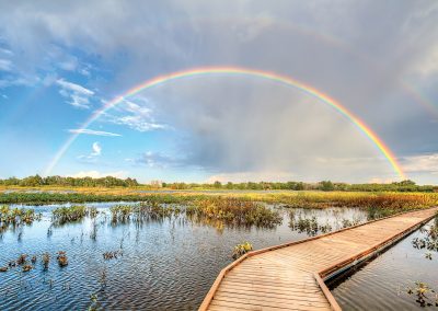 Watersong Wild Space Is an Unexpected Oasis in Midland