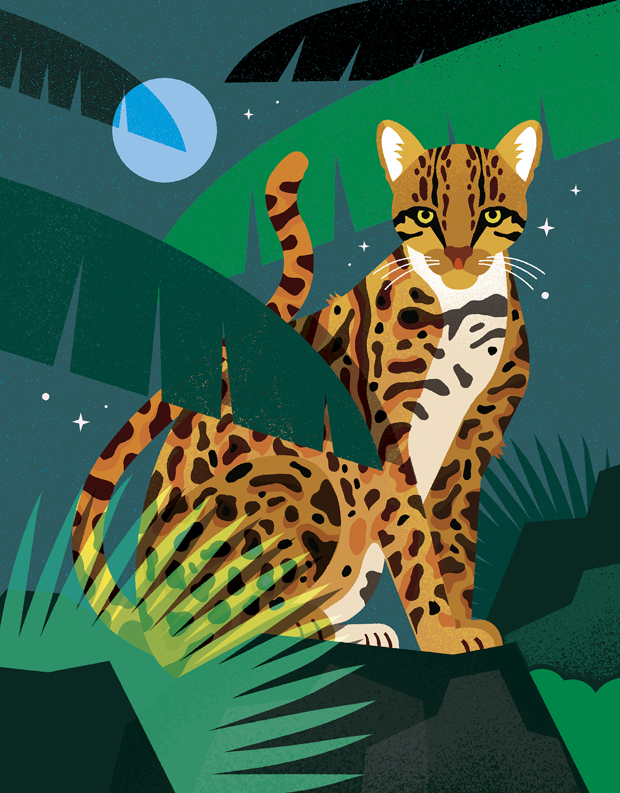 An illustration of a larger feline with a golden coat spotted with dark speckles and stripes surrounded by green foliage