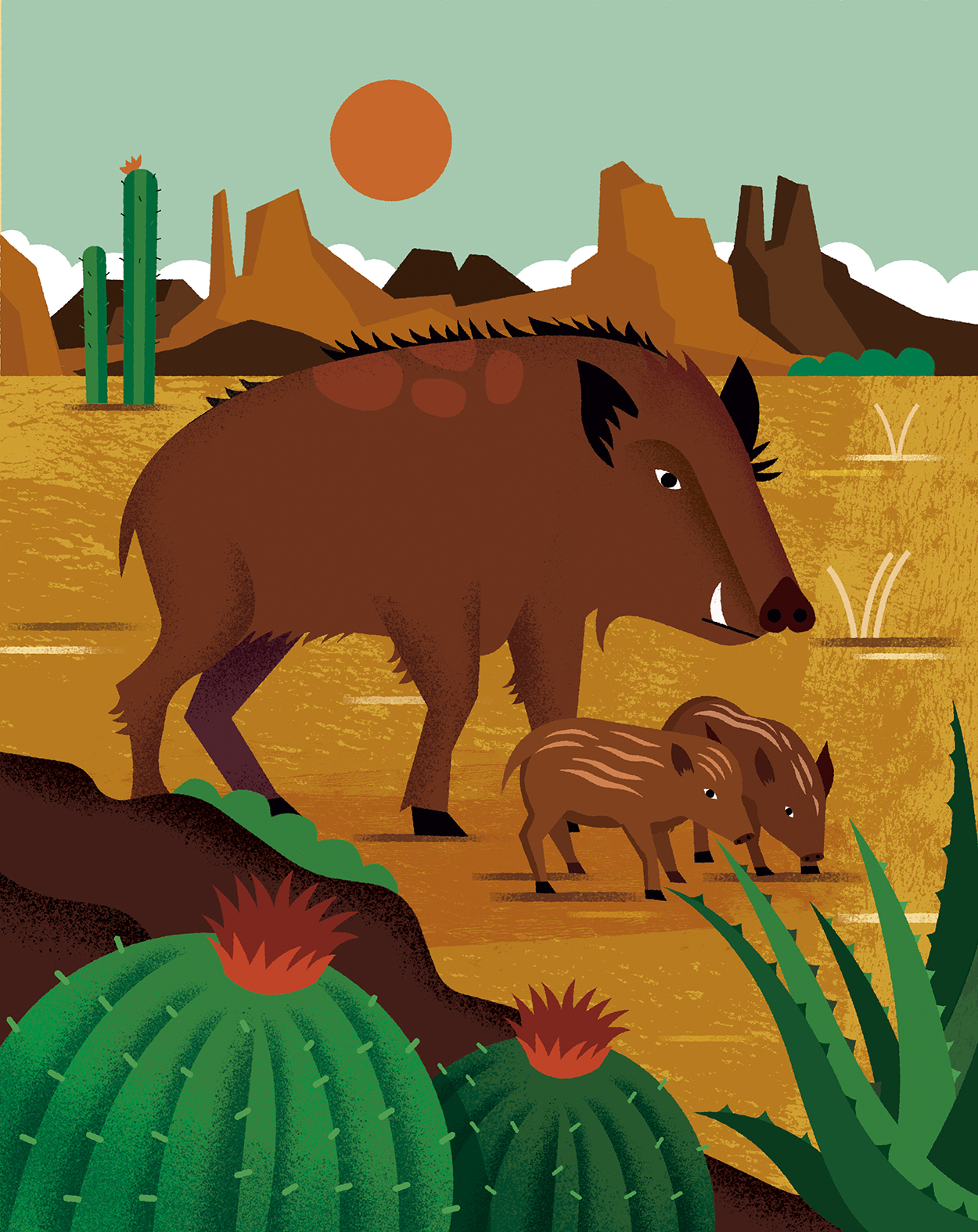 An illustration of a large hairy brown pig and its two babies in a desert landscape