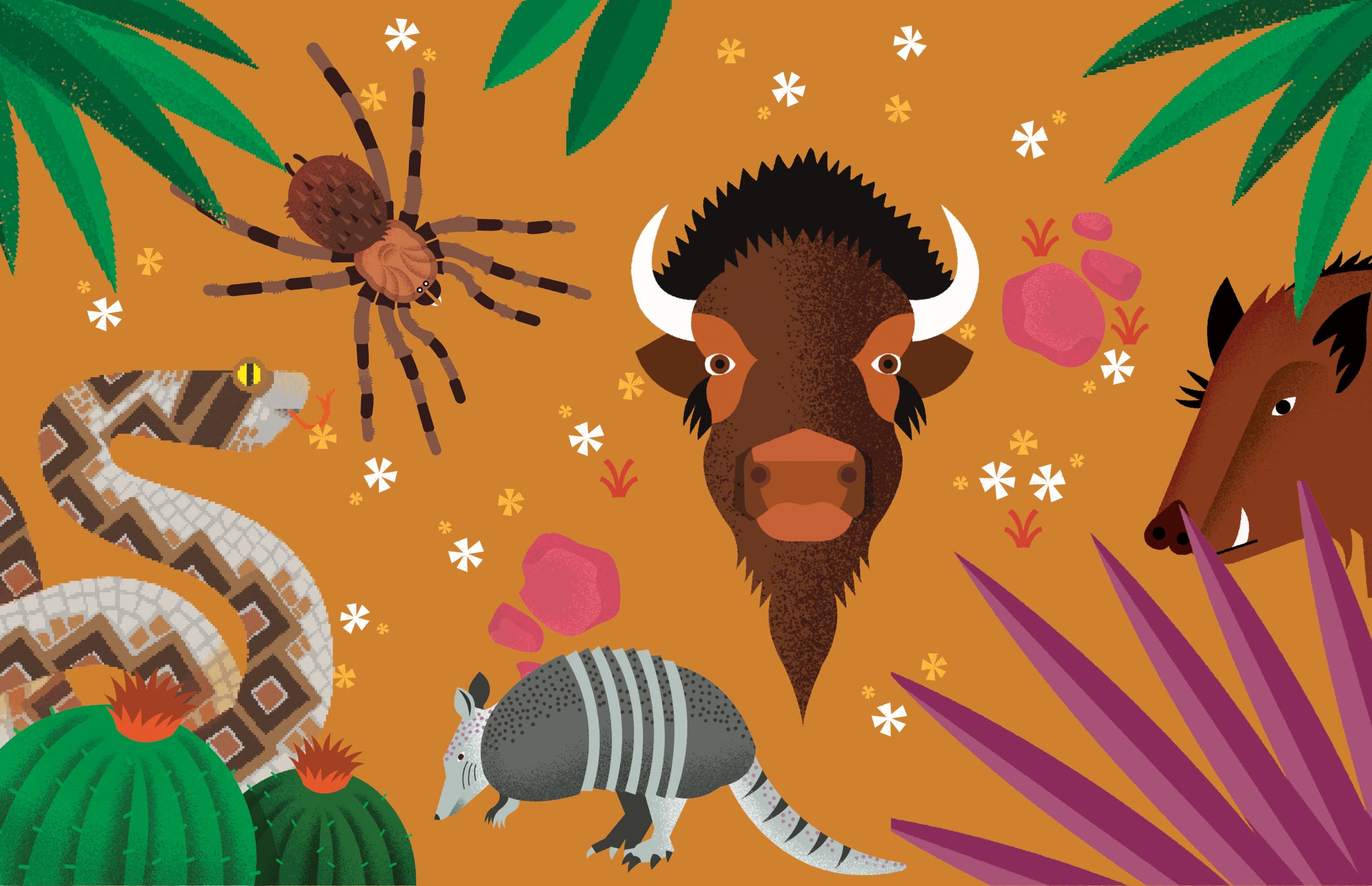 The Iconic Wild Critters Found ’Round the State