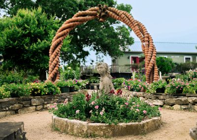 Shop for 200-Year-Old Rose Varieties at this East-Central Texas Nursery