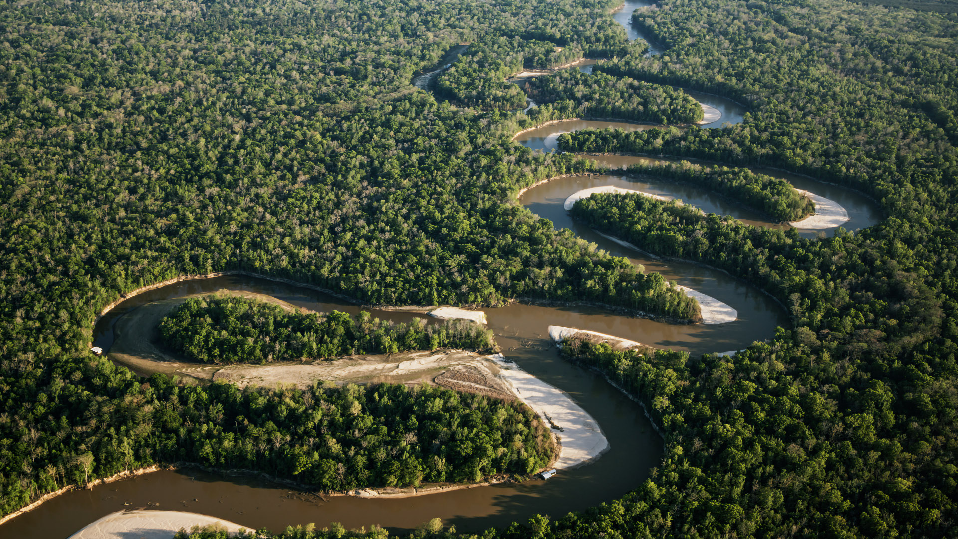 An overhead shot of a river winding through a woodland area.