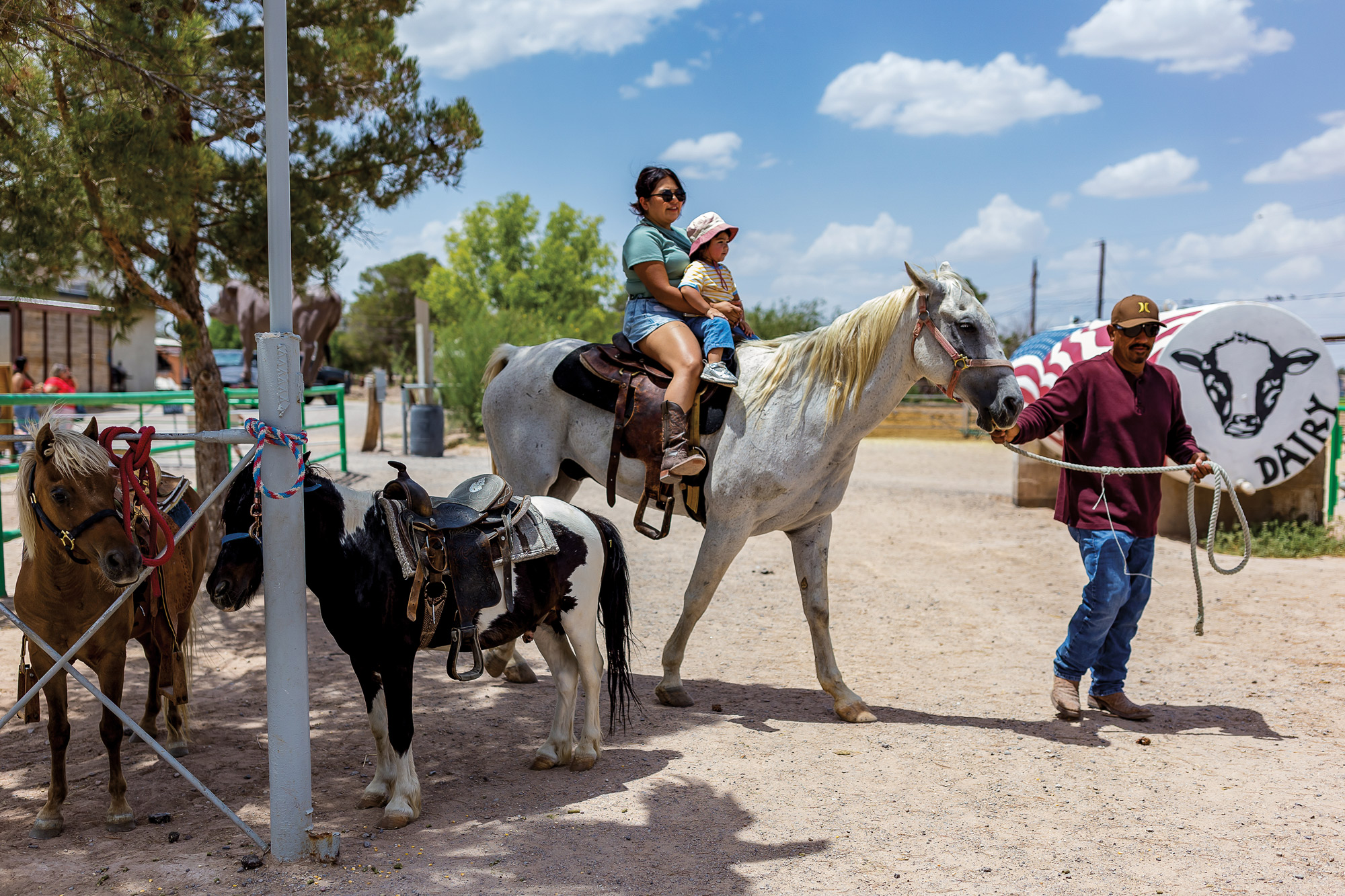 A woman and a child riding a white horse with a small black and white horse facing the other direction next to them