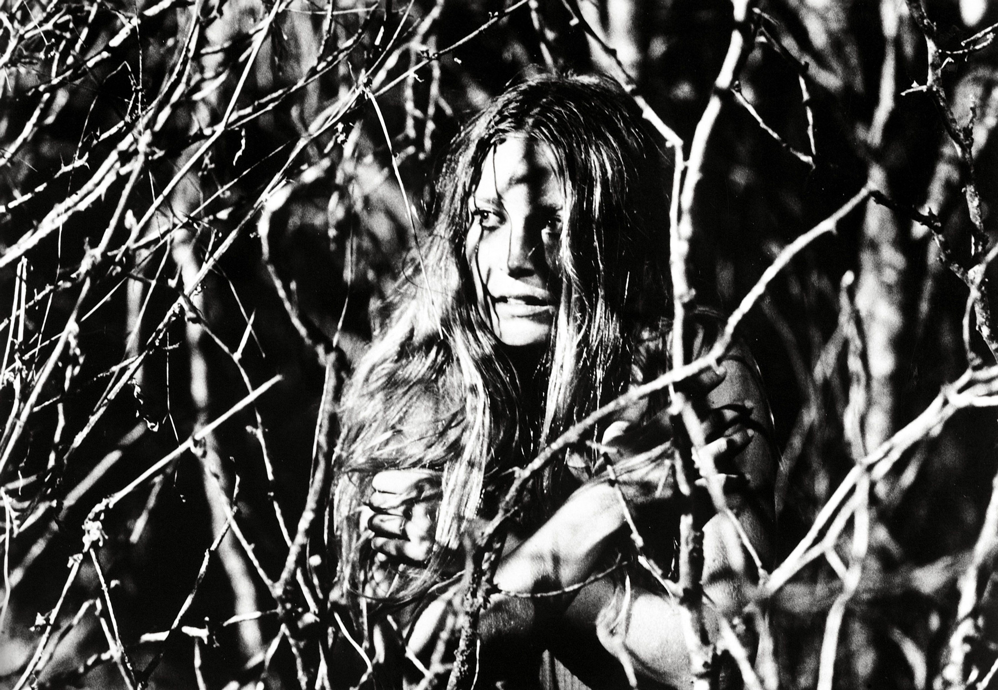 A woman with long hair, shivering in the woods filled with bare branches, her face scared