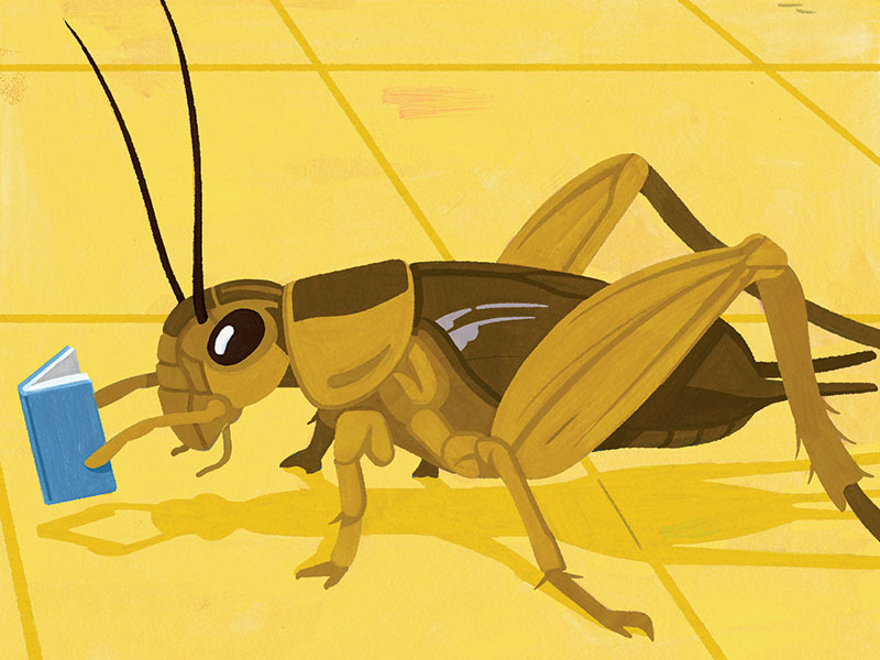 An illustration of a bug reading a blue book while standing on a yellow tile floor