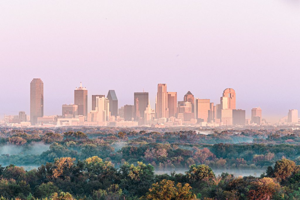 A hazy city skyline in the distance behind a foggy forest